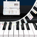 Color-Coded Piano Key Label Strip